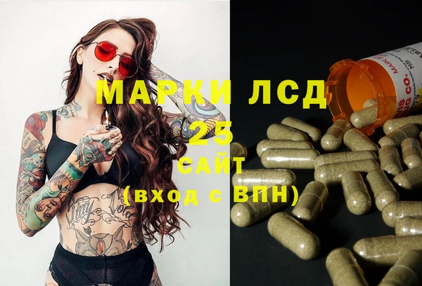 spice Володарск